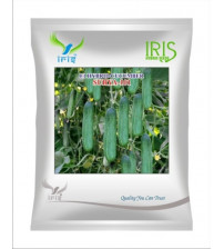 Cucumber / Kakri F1 Iris Surya-101 - 20 grams